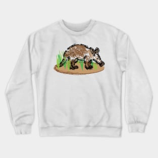 Aardvark Artwork Crewneck Sweatshirt